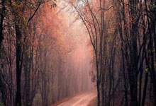 爱游戏(中国)：[视频]王沪宁主持召开全国政协主席会议.