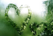 意甲升班馬薩勒尼塔納宣布法國球星裏貝裏加盟球隊.