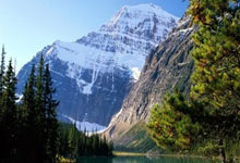 东契奇32+10+7约基奇低配三双 老詹25+9湖人降服掘金_篮板_八村_NBA.