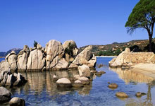 爱游戏·体育：恩迪卡：瞄準歐冠資格 羅馬新賽季信心滿滿.